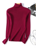 Casual Women's Knitted Turtleneck Sweater