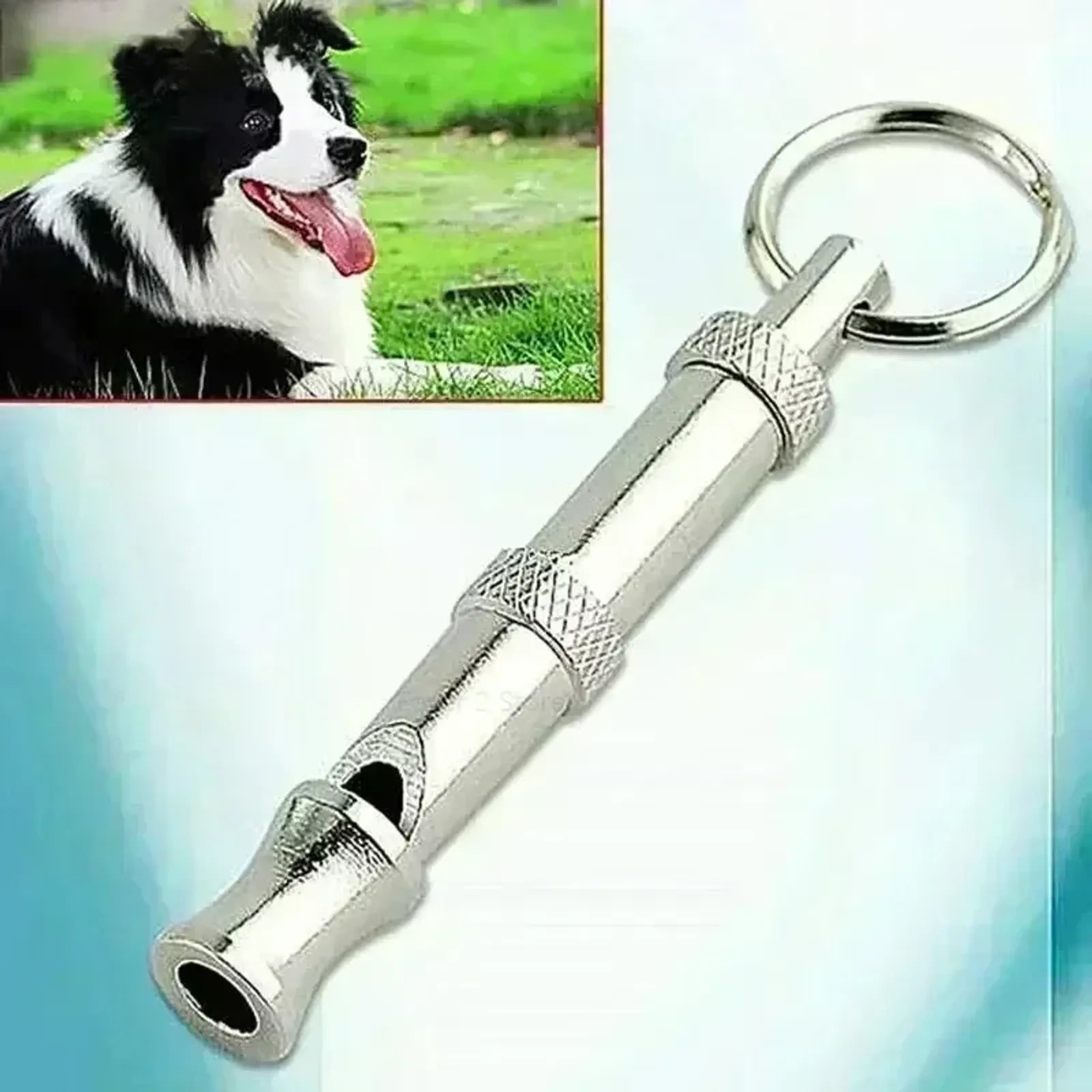 Dog Training Whistle to Control Barking