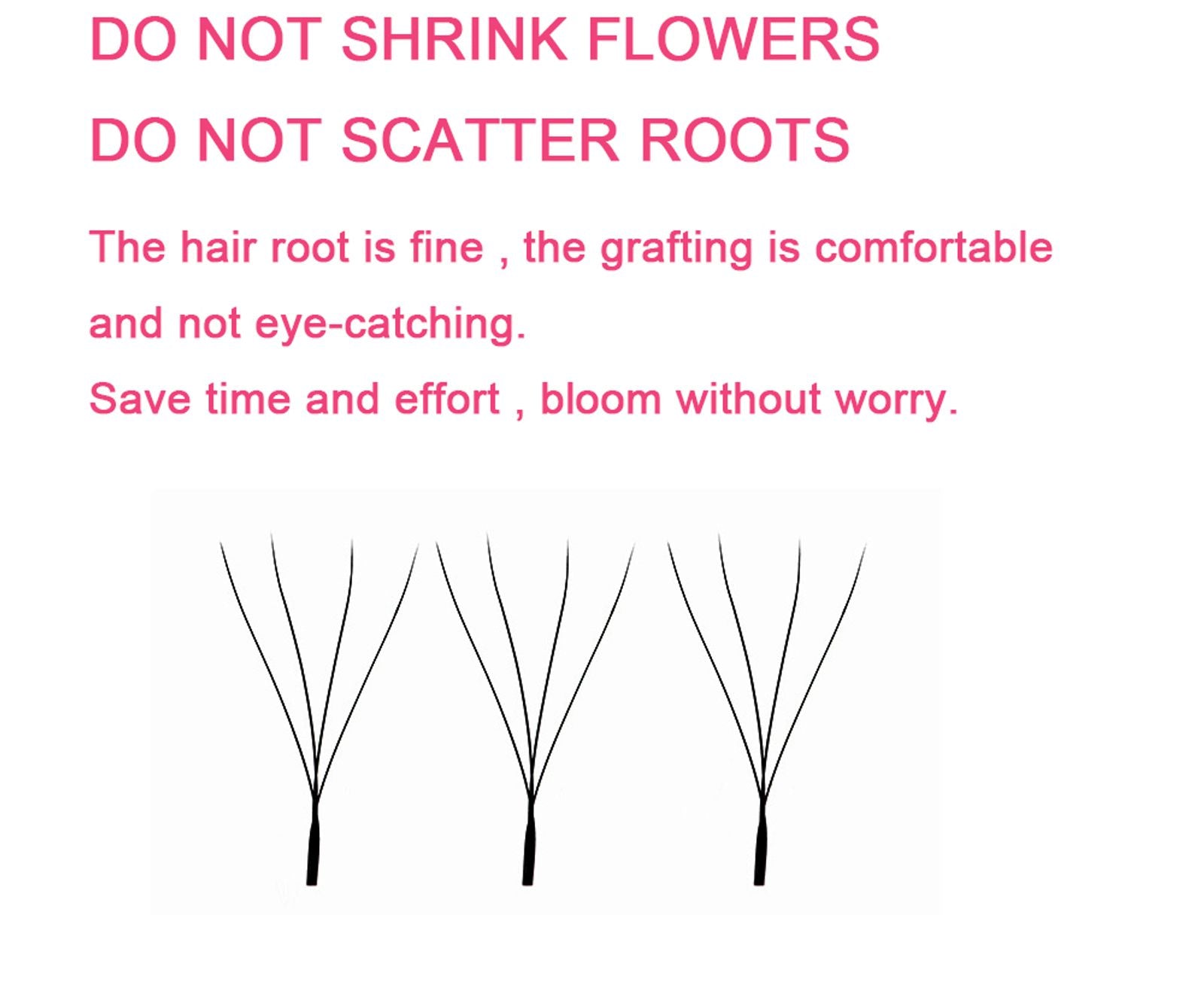 Goddess 4D W Shape Eyelash Extensions - Handmade Volume Lashes