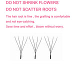 Goddess 4D W Shape Eyelash Extensions - Handmade Volume Lashes