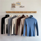 Women's Warm Turtleneck Jumper Sweater