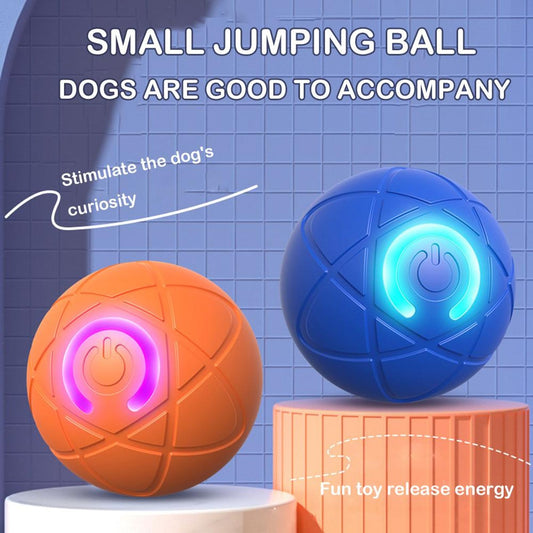 Interactive Dog Ball for Aggressive Chewers