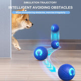 Interactive Dog Ball for Aggressive Chewers