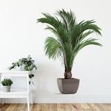 Greenery Potted Plant Wall Decals for Home Decoration