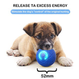 Interactive Dog Ball for Aggressive Chewers