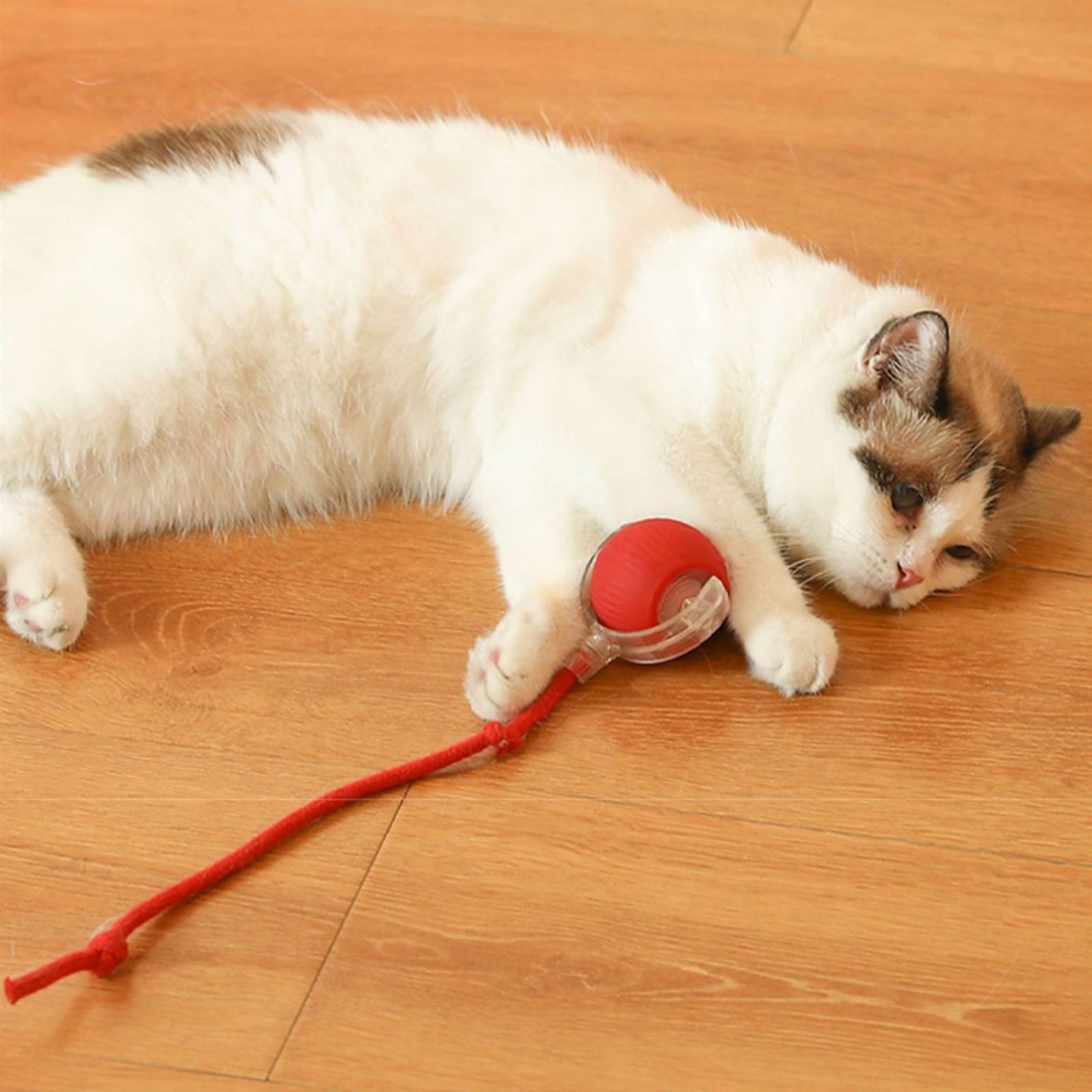 Automatic Rolling Electric Cat Ball Toy with Faux Tail