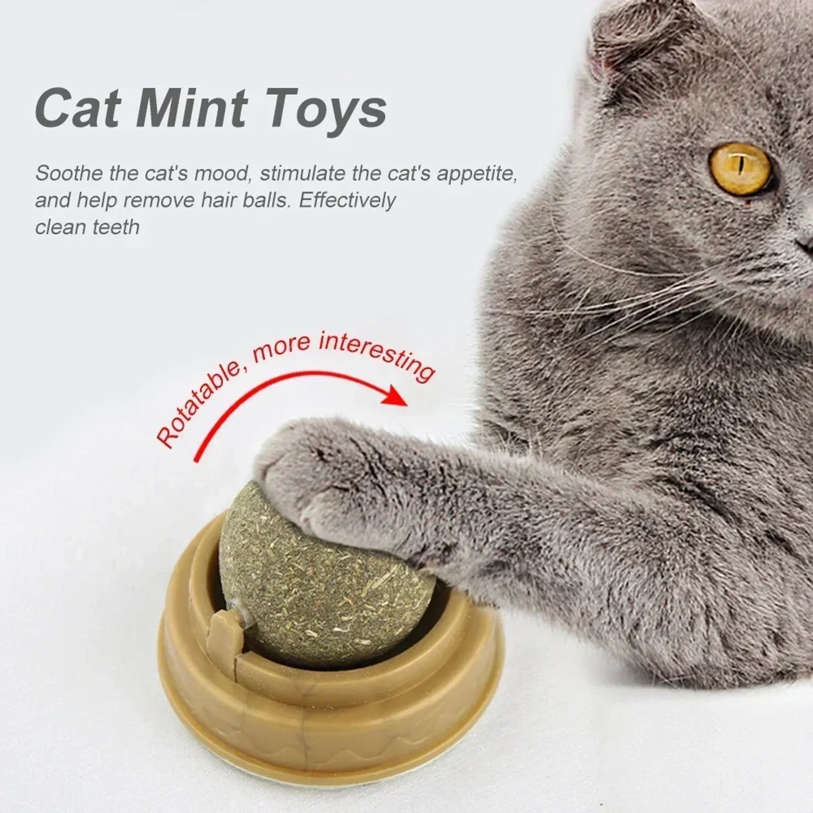 Catnip Balls for Healthy Playtime and Clean Teeth