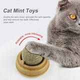 Catnip Balls for Healthy Playtime and Clean Teeth