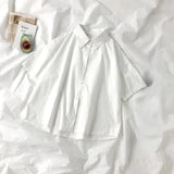 Women’s White Short Sleeve Lapel Blouse with Tie