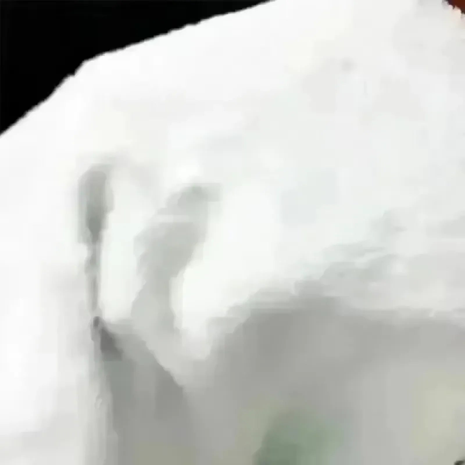 Bohemian Cat-Themed Flannel Blanket