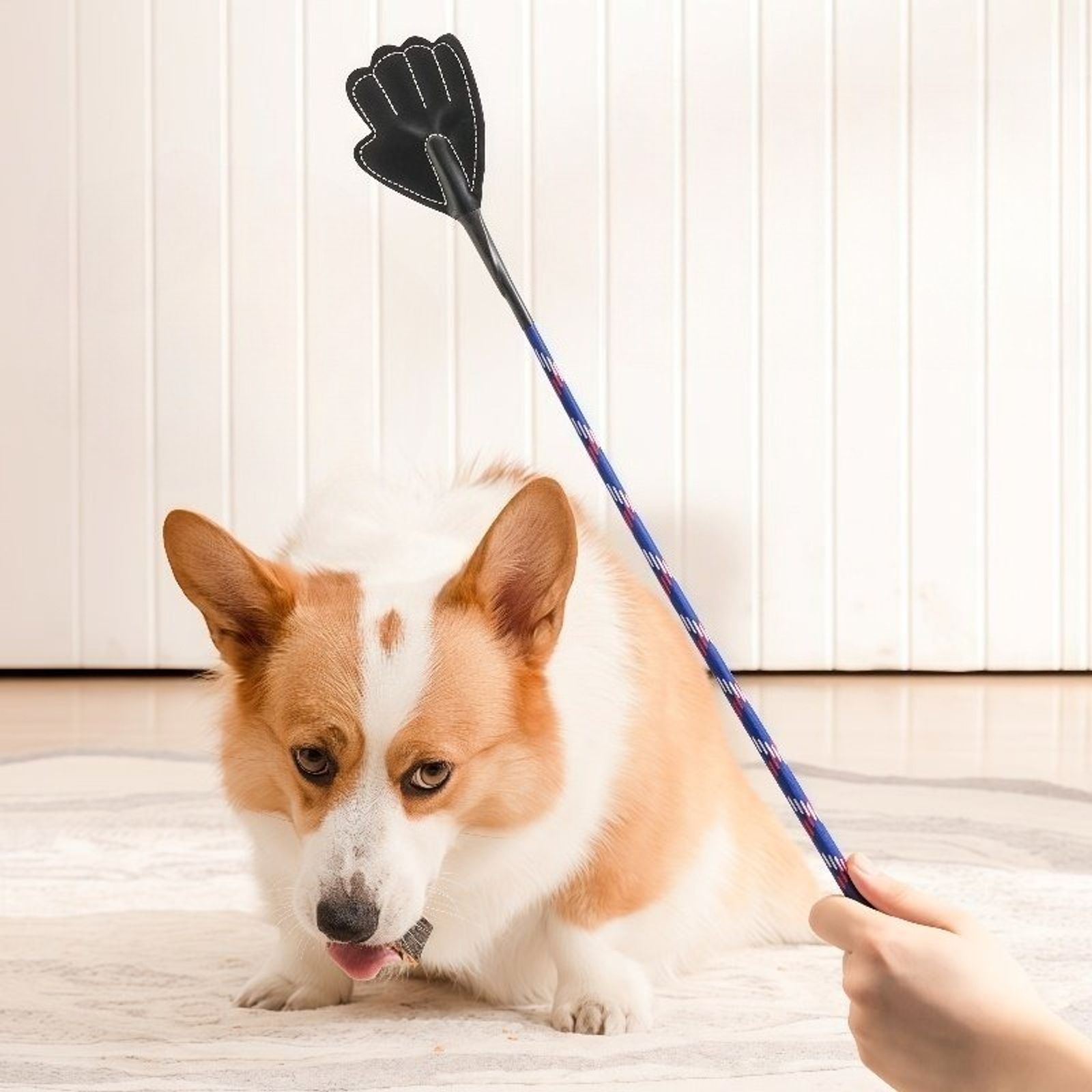Leather Dog Training Stick