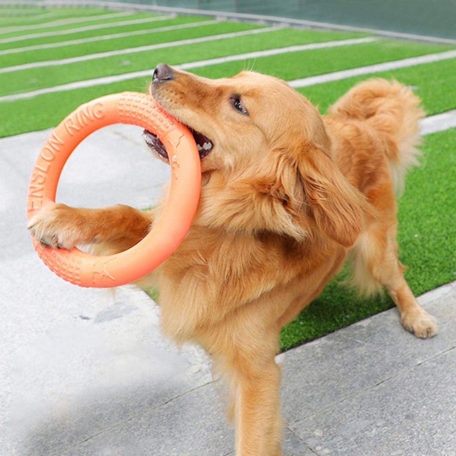 Interactive Orange Dog Toy Flying Disk for Training