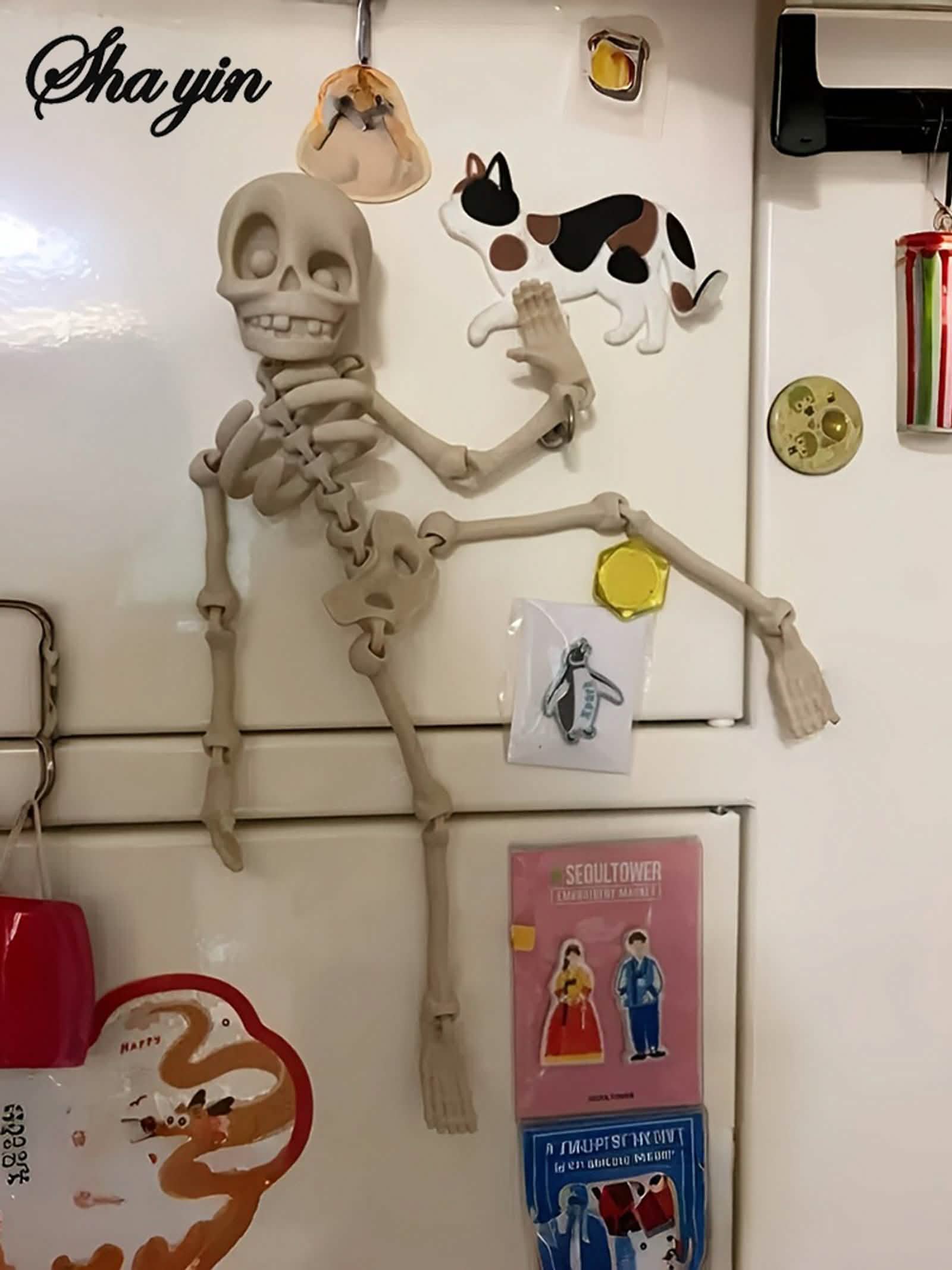 Poseable Skull Fridge Magnet for Quirky Kitchen Decor