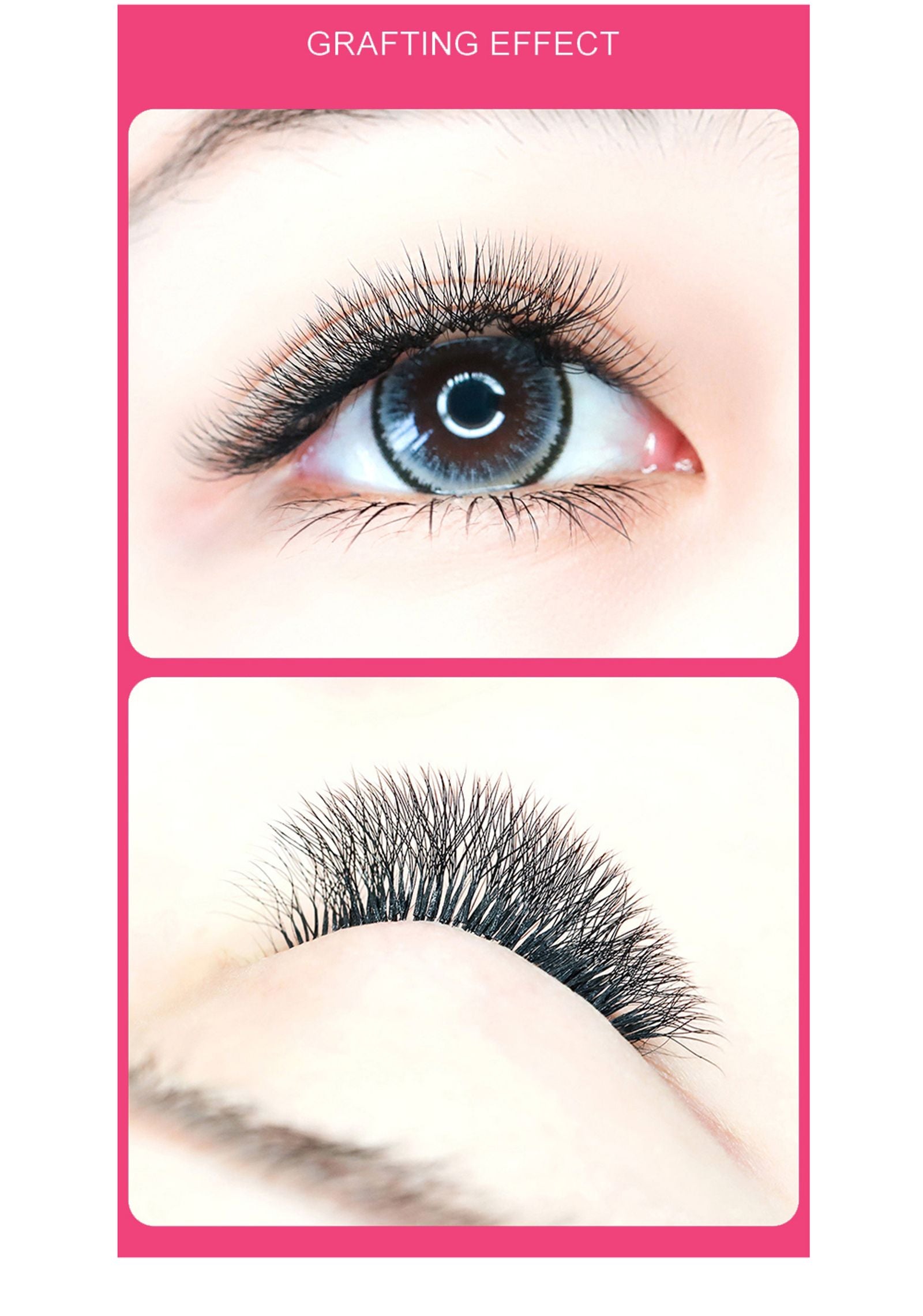 Goddess 4D W Shape Eyelash Extensions - Handmade Volume Lashes