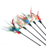 5pcs Cat Interactive Wand Set with Colorful Feathers