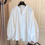 Women's Spring Autumn Chiffon Long Sleeve Blouse