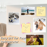 Strong Disc Magnets for Fridge, DIY Projects, and Education