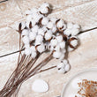Naturally Cotton Floral Spray for Home Decor