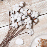 Naturally Cotton Floral Spray for Home Decor