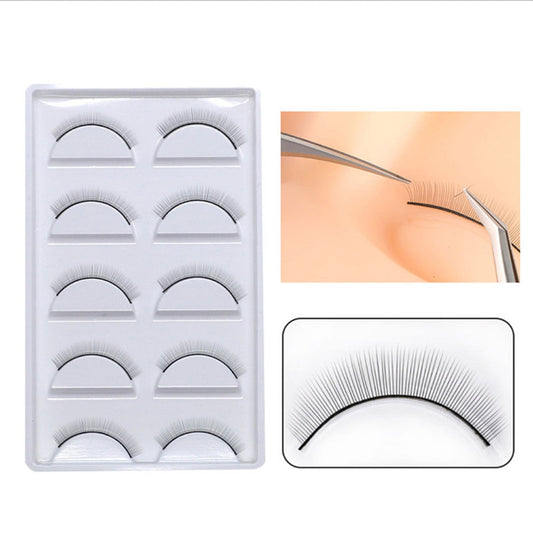 Training Lashes - 5/10/25 Pairs Natural False Eyelashes