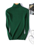 Casual Women's Knitted Turtleneck Sweater