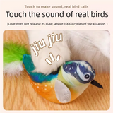 Interactive Electric Cat Toy with Chirping Sound