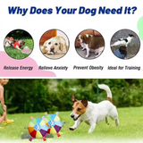 Hot Dog Plush Toy with Bell for Small Dogs