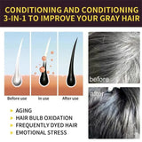 Pure Natural Herbal Hair Dye Shampoo - 5 Minute Color Change