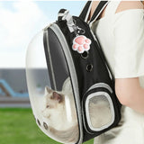 Funny Rechargeable Laser Pet Toy with 5 Patterns