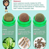 Natural Catnip Wall Ball Toy for Cats