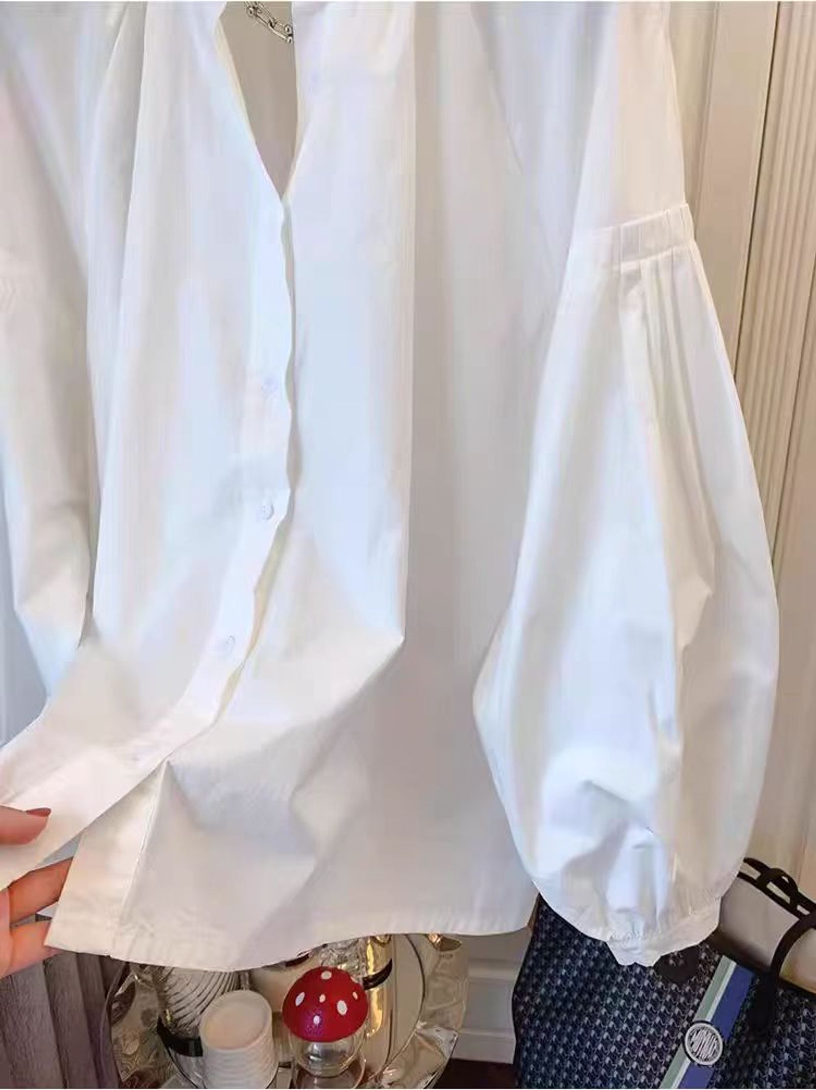 Women's Spring Autumn Chiffon Long Sleeve Blouse