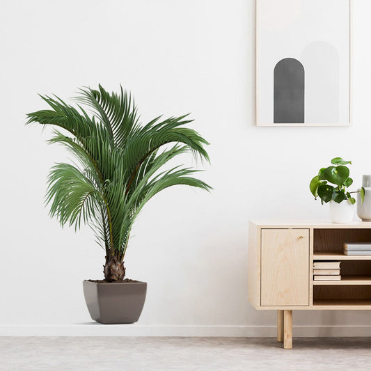 Greenery Potted Plant Wall Decals for Home Decoration