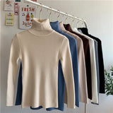 Women's Warm Turtleneck Jumper Sweater