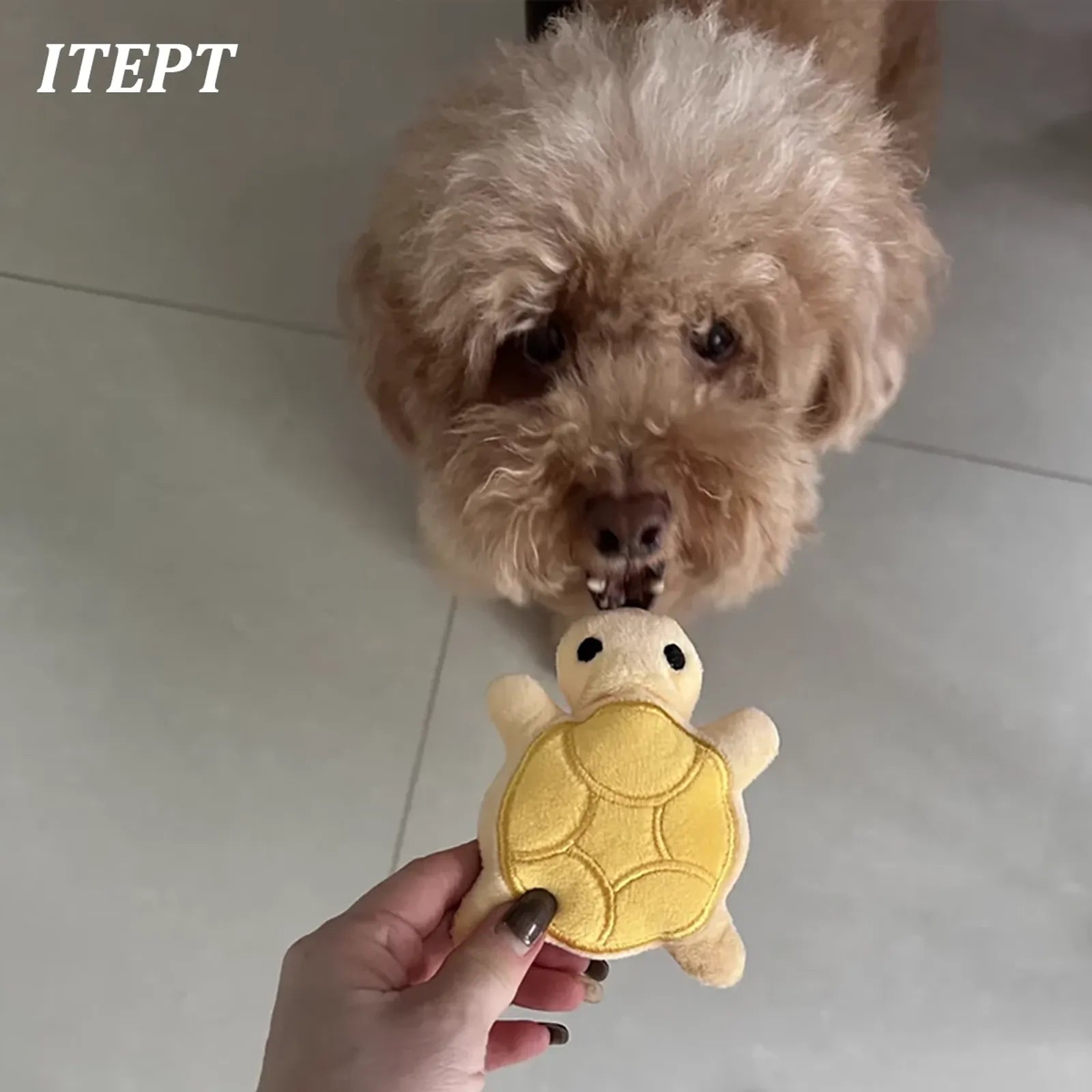 Mini Turtle Plush Chew Toy for Puppies