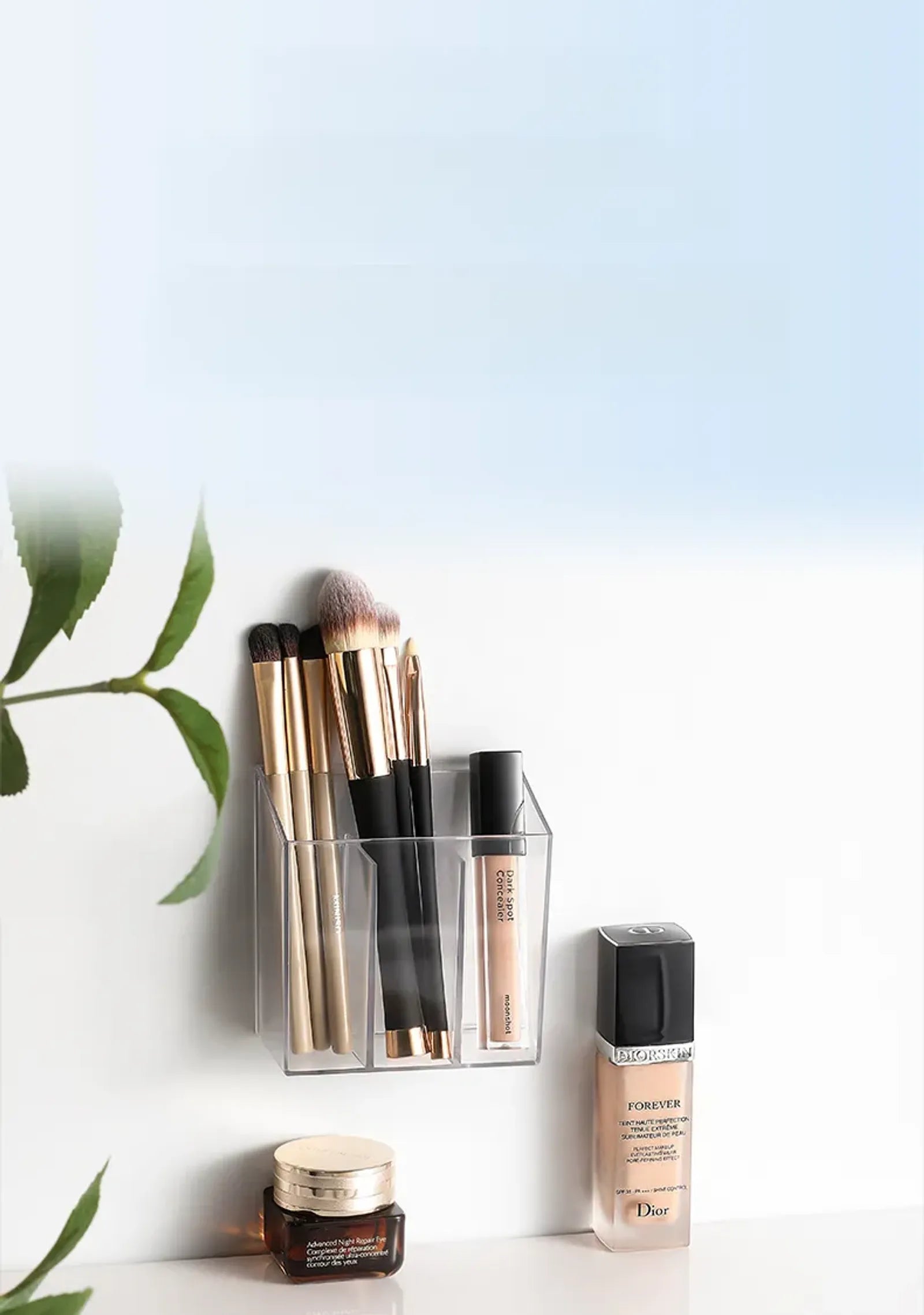 Wall-Mounted Medicine Organizer