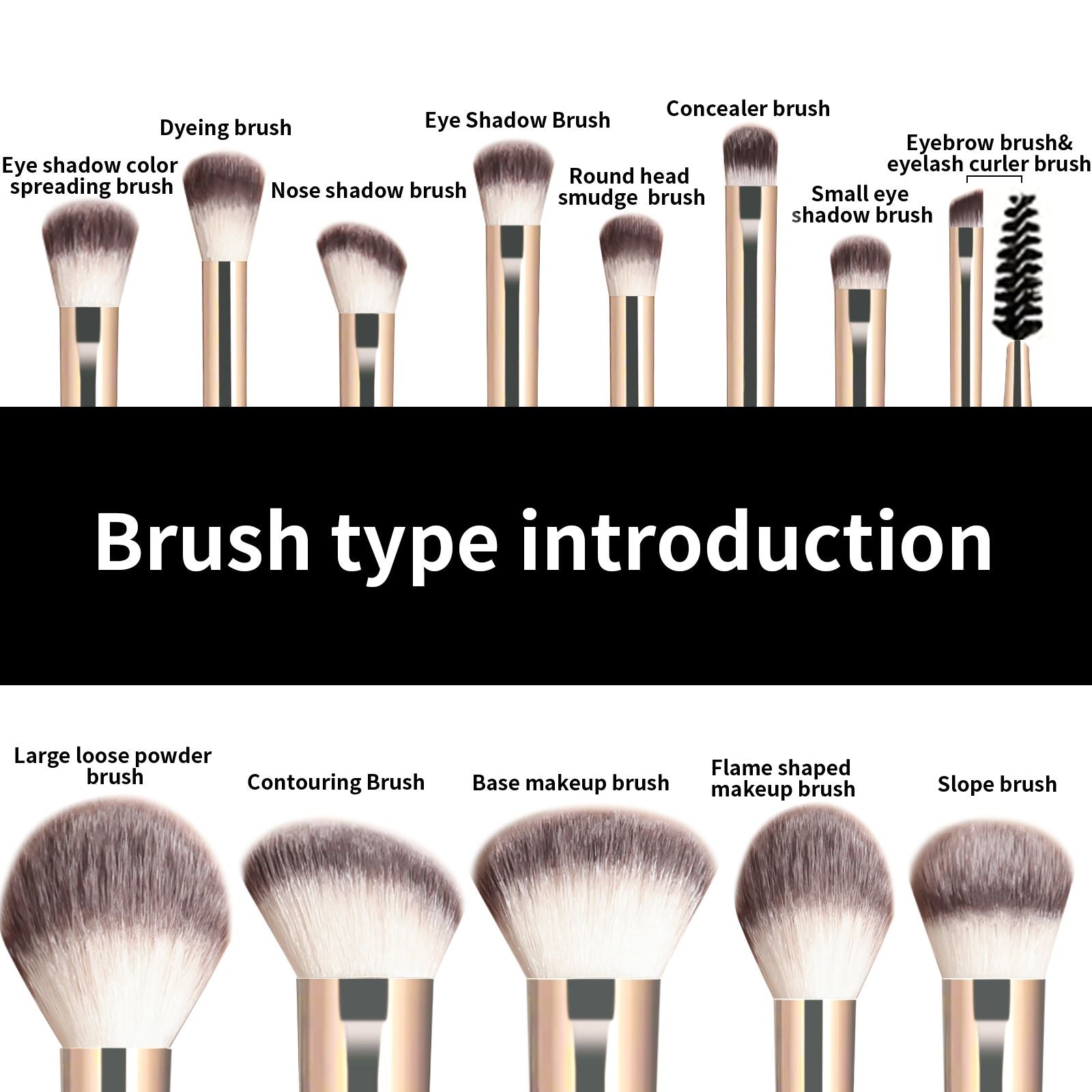 13PCS Makeup Brush Set for Foundation, Blush, and Eyeshadow