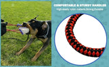Jute Chew Sticks for Dogs - Ideal for Training and Dental Health