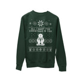 All I Want for Christmas Is You Catholic Christmas Hoody